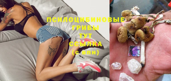 ешки Балахна