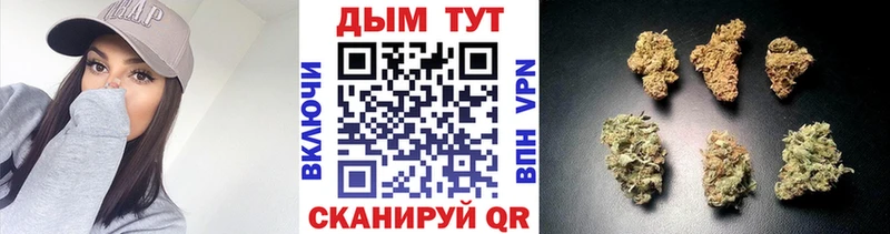 Купить  Верхотурье  Каннабис план 
